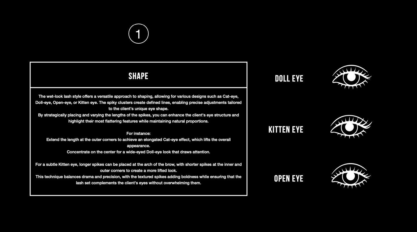 THE WET LOOK SUCCESS SYSTEM