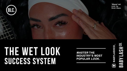 THE WET LOOK SUCCESS SYSTEM